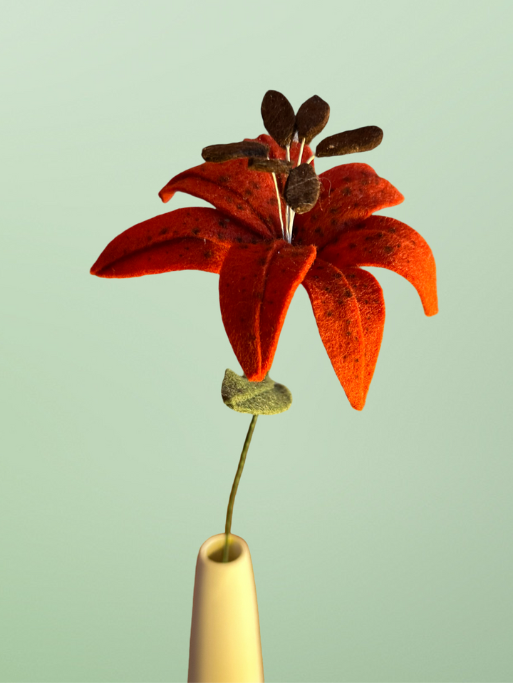 Single Tiger Lily