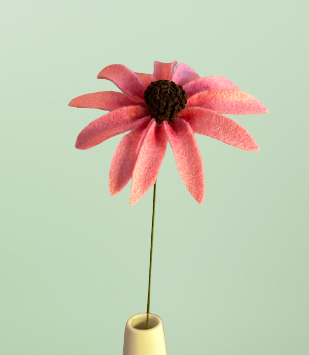Single Pink Cone flower