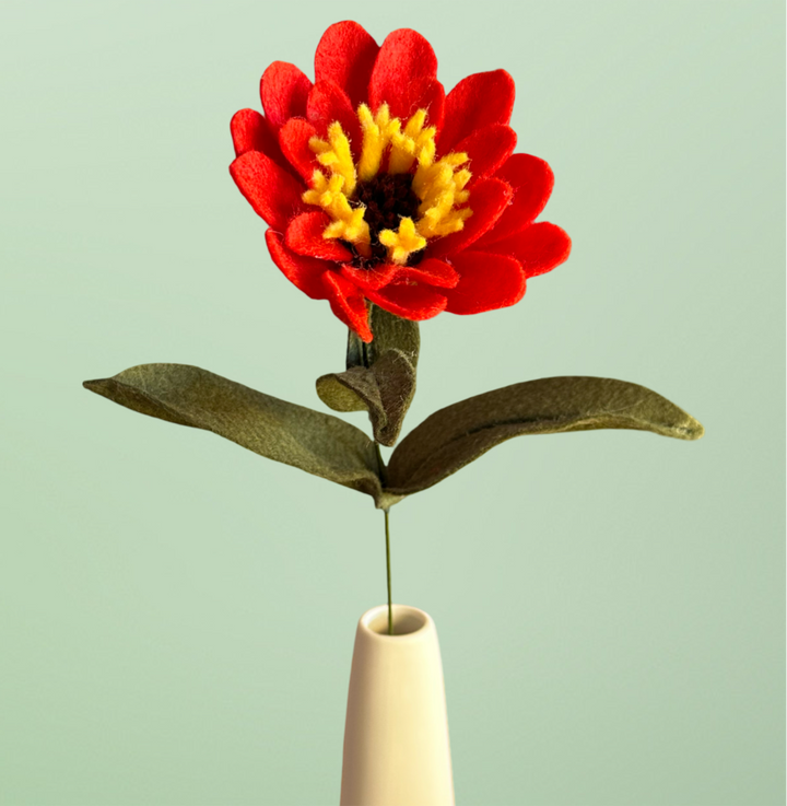 Single Tomato Zinnia