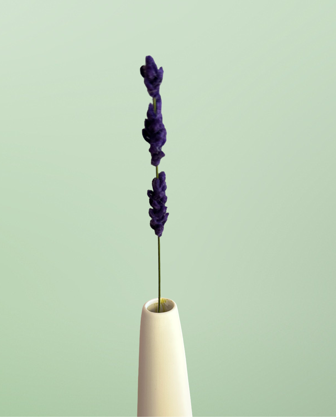 Single Dark Purple Lavender