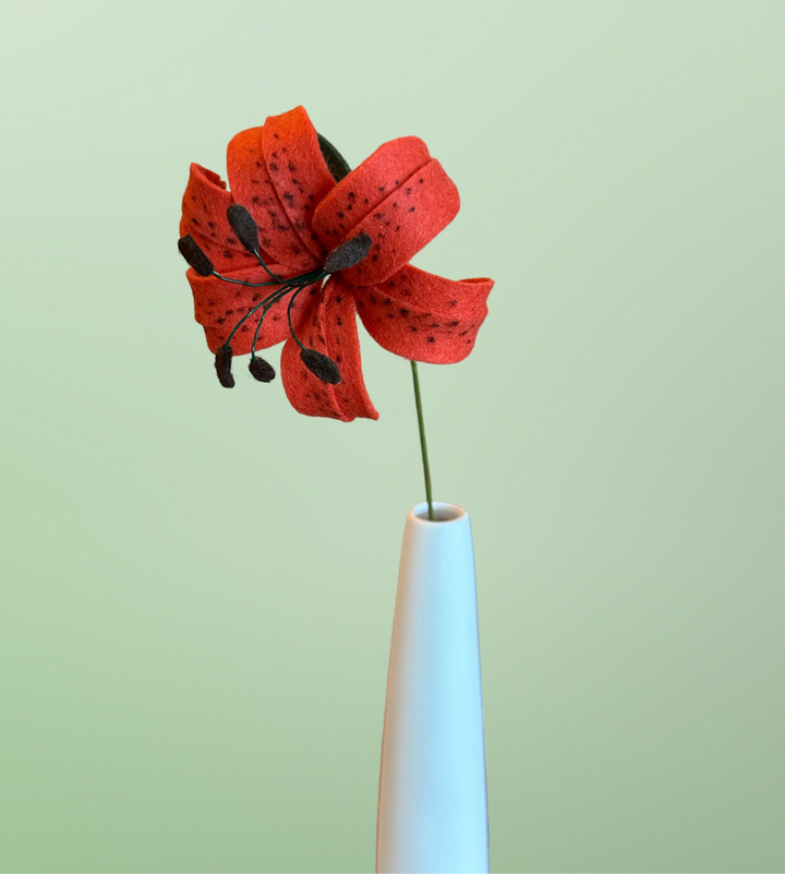 Single Tiger Lily
