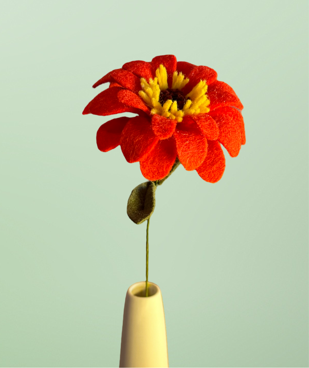 Single Tomato Zinnia