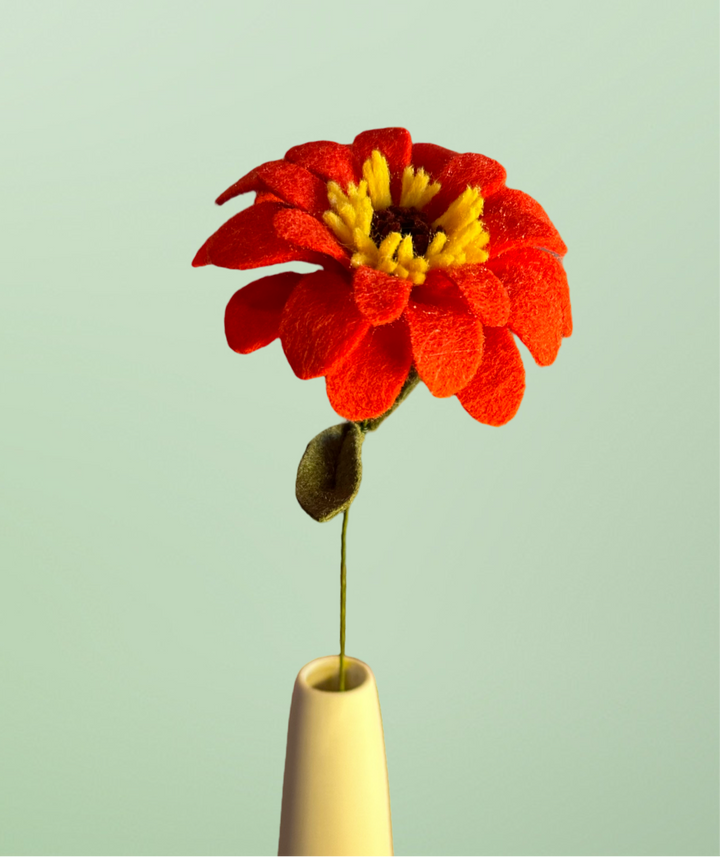 Single Tomato Zinnia