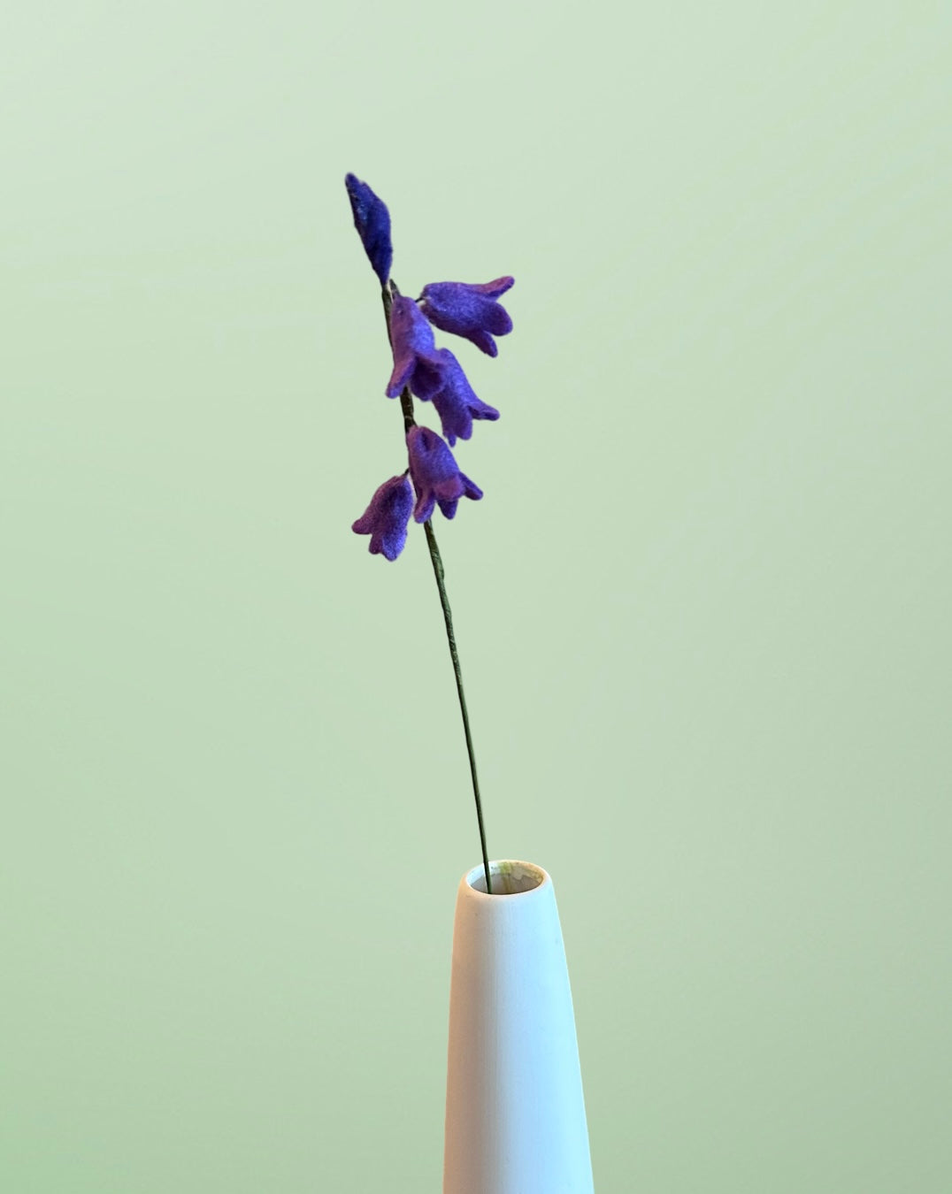 Single Purple Blue Bell