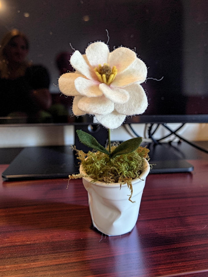 Tiny single butterfly ranunculus in a funky little ceramic vase