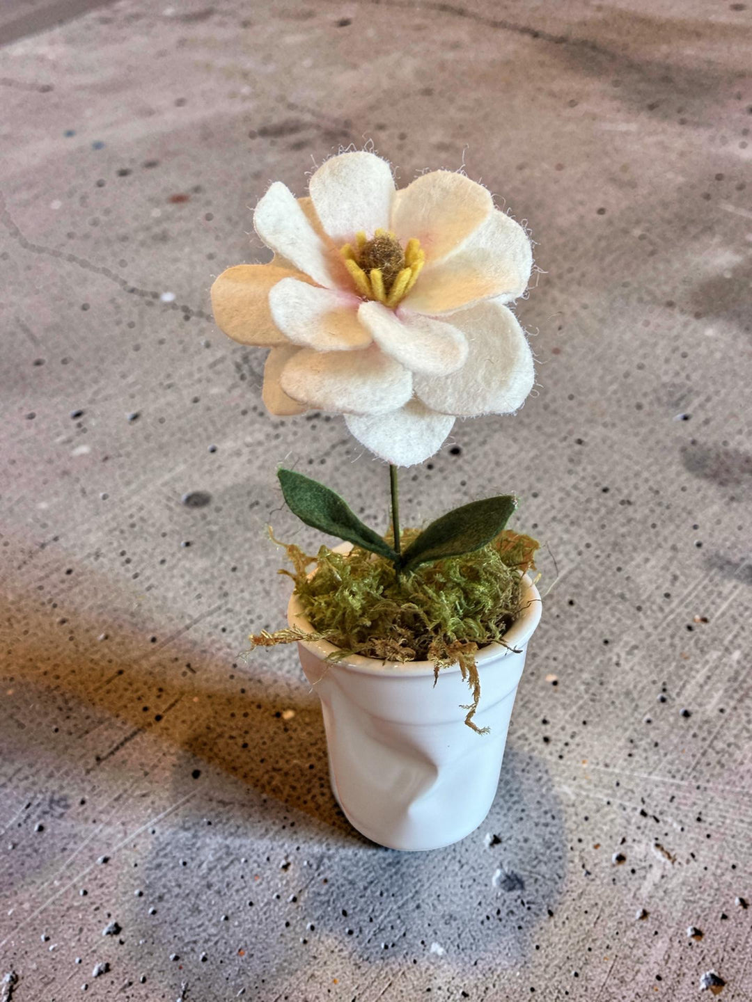 Tiny single butterfly ranunculus in a funky little ceramic vase