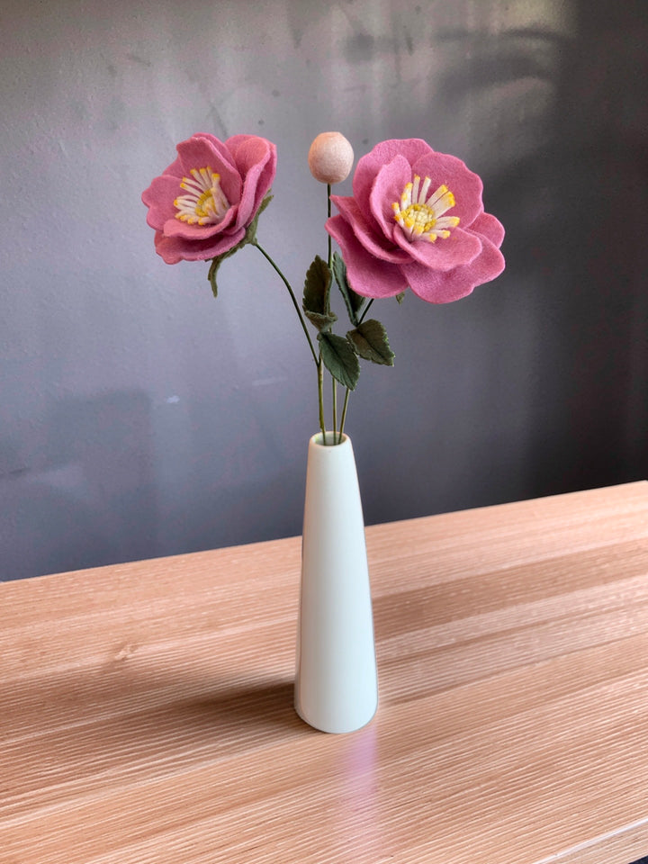 Single Wild Rose