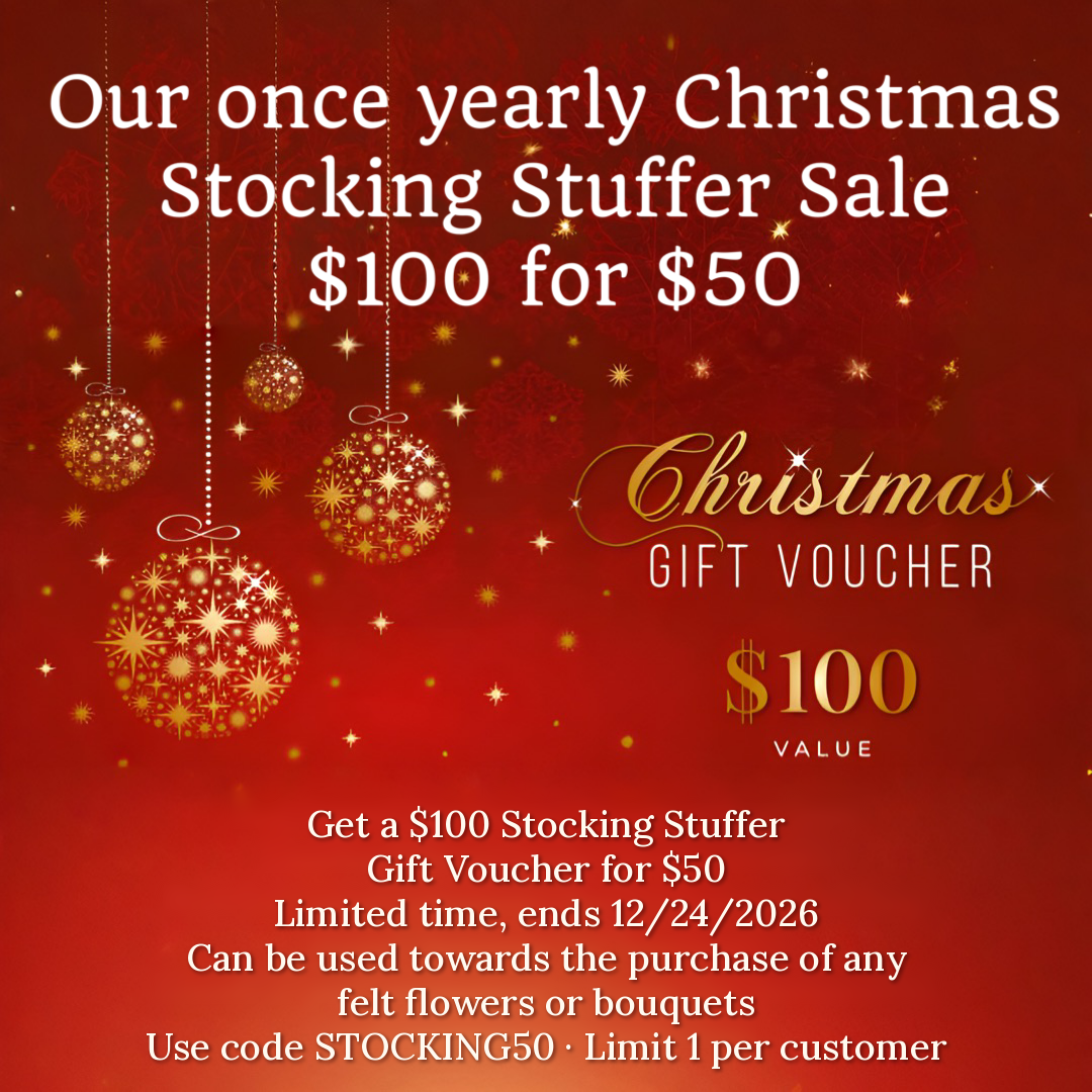 Christmas Stocking Stuffer Gift Voucher – $100 Value